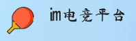 IM电竞官方网站